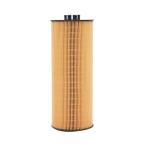High Quality Factory Direct Oil Filter Models A5411800209 A54118402 LF3829
