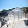 Buy cheap Single-span Tropical UV Treated Plastic Film Greenhouse from wholesalers