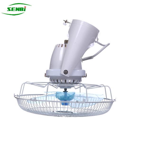 Buy cheap Wall Switch Control Orbit DC 12V Ceiling Fan , 12 Inch 360 Degree Oscillating Fan from wholesalers