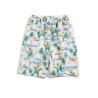 Buy cheap Loose Print Large Size Athletic Leisure Shorts Broken Flower Beach Short For Men from wholesalers