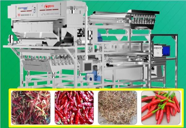 Buy cheap Facing Heaven Pepper Sorting Machine Intelligent Removal 8.75Kw 220V 50Hz from wholesalers