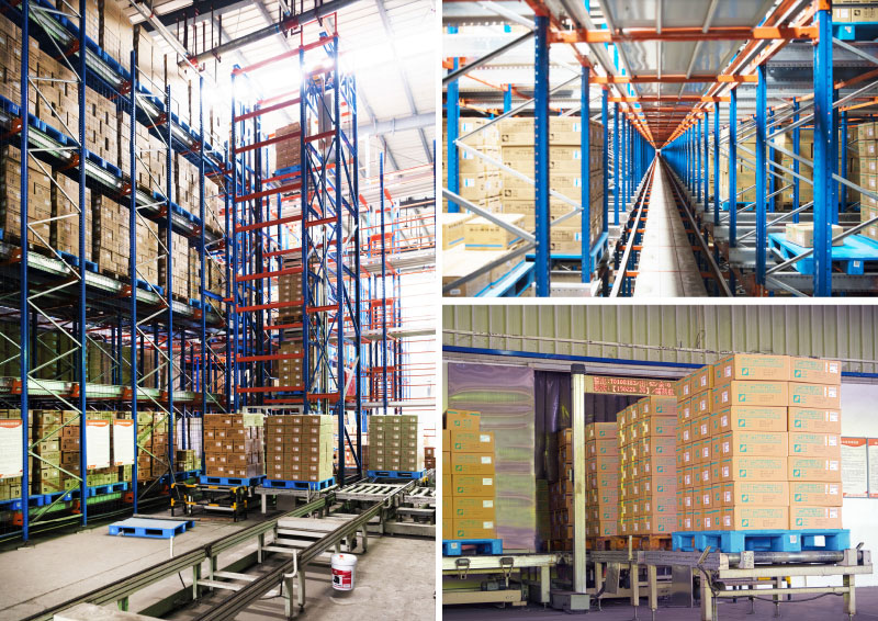 Carrier and shuttle pallet ASRS