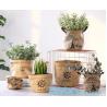 Buy cheap colorful gold TYVEK washable paper garden pots flower pot storage bag,Washable Kraft Paper planter ,kraft paper planter from wholesalers