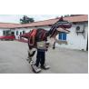 Buy cheap Professional Realistic Animatronic Robotic Dinosaur Costume For Sale from wholesalers
