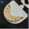 Buy cheap Corrosion Resistant Zirconia Crowns Natural Looking Zirconia Teeth from wholesalers