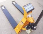 Pallet Scale IN-FL017