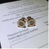Buy cheap brand jewelry gem earring in 18 kt gold 18k gold jewelry from wholesalers