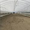 Buy cheap Plants Planting Agriculture Standard Plastic Film 8m 60m Pe Film Single Span Greenhouse from wholesalers