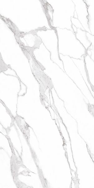 Buy cheap Office Building Big Slab 2400*1200mm Cement Look Porcelain Tile from wholesalers