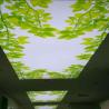 Buy cheap Flexible Width 1.8m-3.2m Stretch Ceiling Film For Shopping Mall Advertising from wholesalers
