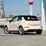 5 Seats Sedan Ora Hao Mao Chinese Electric Vehicles 150km/H
