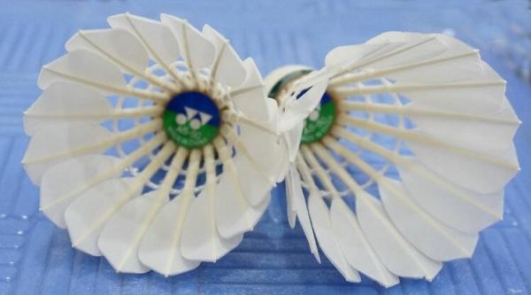 Buy cheap Yonex AS50 badminton shuttlecocks from wholesalers