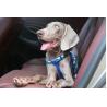 Buy cheap 2.5cm Woven Elastic Dog Harness Belt Dog Body Belt Pet Training from wholesalers