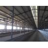 Buy cheap Prefabricated Insulation Steel Structure Cowshed With Sandwich Panel from wholesalers