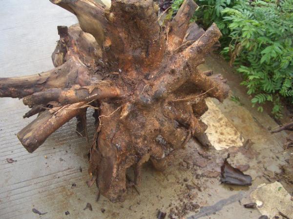 Buy cheap Industrial Shredder/wood crusher/wood slap crusher/single shaft shredder from wholesalers