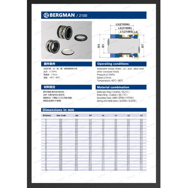 Durable BERGMAN Replaces John Crane 2100-K 12mm-100mm G60 G4 G6 G9 G13 G16 BS Bo BP Pump Mechanical Seal