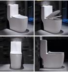 Dual Flush Washdown Siphonic One Piece Toilet Models P Trap S Trap