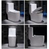Buy cheap Dual Flush Washdown Siphonic One Piece Toilet Models P Trap S Trap from wholesalers