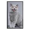 Buy cheap Vertical 65 Inch Wall Mounted Digital Signage / Bank Entrance Video Wall Monitors from wholesalers