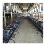 Working Vacuum 50KPa 2.2kw Herringbone Milking Machine For Dairy Farm