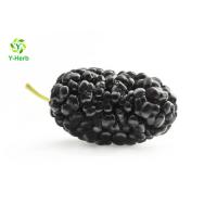 Buy cheap Anthocyanin Fruit Mulberry Herbal Extract Powder For Food Additives product