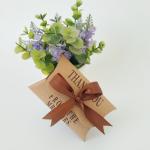 Bow Tie Biodegradable Kraft Paper Food Packaging Sweety Pillow Boxes 7.5g