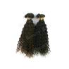 Buy cheap Brazilian Virgin Human Hair Extensions Brown , Remy Big Curl Hair from wholesalers