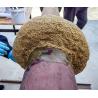 Buy cheap Yellow Profiling Petrolatum Mastic For Regular Shaped Fittings Sealing from wholesalers