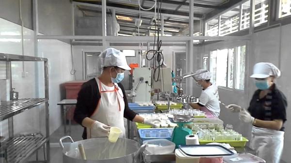 Buy cheap Plastic Cup SUS304 Yogurt Production Line 500KG With CIP Cleaning Systems from wholesalers