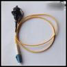 Buy cheap Outdoor FTTA Fiber Optic Patch Cord Single Mode , Corning LSZH Fiber Optic Cable from wholesalers