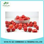 Natural Hawthorn Berry / Crataegus Fruit Powder
