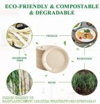 10 inch Compostable Plates Heavy-Duty Disposable Paper Plates Bagasse Natural