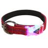 Buy cheap Sustainable Reflective Fray Proof Pet Collars Leashes/pet products from wholesalers