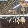 Buy cheap Poultry Farm Used Agricultural Plastic Warm Greenhouse Protect From Raining from wholesalers