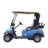 Buy cheap Club Car 2 Seater Electric Golf Cart 48V Battery from wholesalers