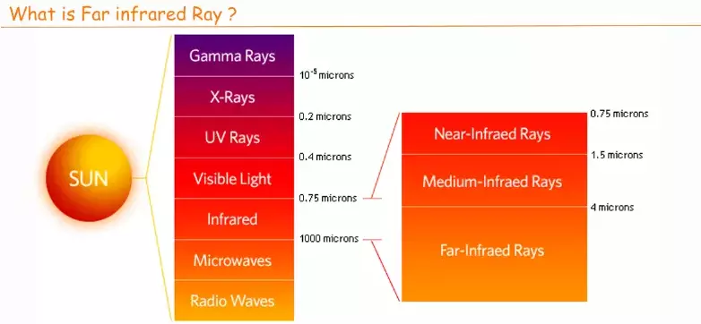 Fir Aurora Far Infrared Sauna Dome With Photon Lights OEM