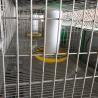 Buy cheap 1500mm Height Sturdy Rabbit Hutch , Waterproof 2 tiers Huge Bunny Cage from wholesalers
