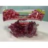 Buy cheap Fresh Lettuce Salad Fruits Pouches BOPP Anti Fog Leafy Vegetables Packaging Bags, vegebag, Print Logo from wholesalers
