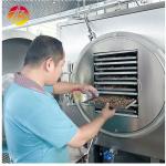 200kg/Batch Capacity Vacuum Freeze Dehydration Machine For Flower And Candy