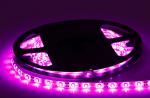 Buy cheap SMD 3528 220V Color Changing Led Light Strips , Outdoor LED Tree Lights Copper from wholesalers