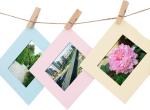 Mini Natural Wooden Craft Clothespins Pegs Clips