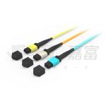 850nm Multimode Low Loss Ferrule MPO Trunk Cable Multi-core Fiber Optic Patch