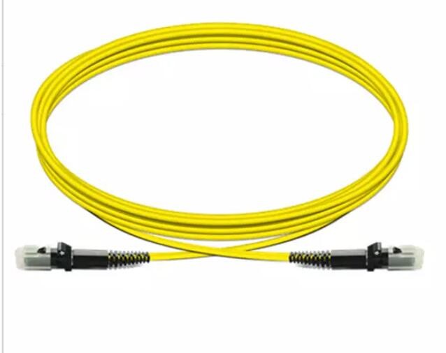 Single Mode Fiber Patch Cord MTRJ To MTRJ 2mm Length