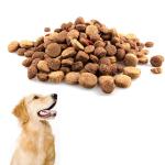 Automatically Pet Food Processing Equipment , Pet Food Extruder Low Noise