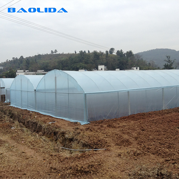 150 Micron PE Film Agricultural Greenhouse For Vegetable Fruit Growing