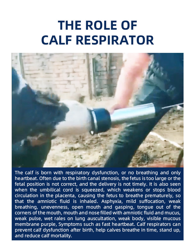 Lightweight Calf Respirator Helps Calves Clear Respiratory Tract Amniotic Fluid
