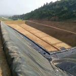 Industrial Design Style 1.5mm Hdpe Fish Farm Pond Dam Liner Geomembrane for