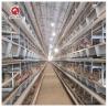 Buy cheap H Type Layer Chicken Cage Equipment 4 Tier 5 Tier Farm from wholesalers