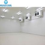 10 Cold Storage Room for Fruits Vegetables Meat Fishes Water Cooled and Return