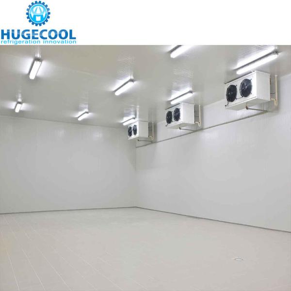 10 Cold Storage Room for Fruits Vegetables Meat Fishes Water Cooled and Return